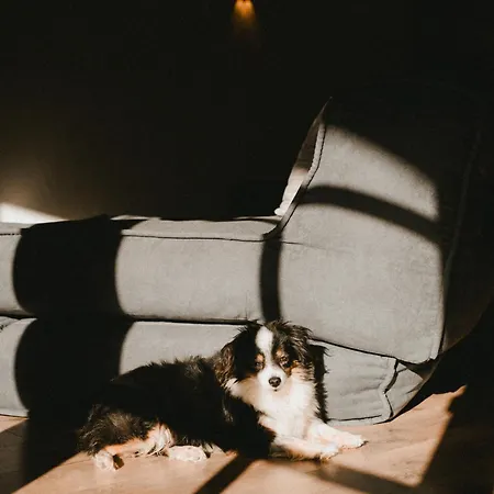 Apartment Katie